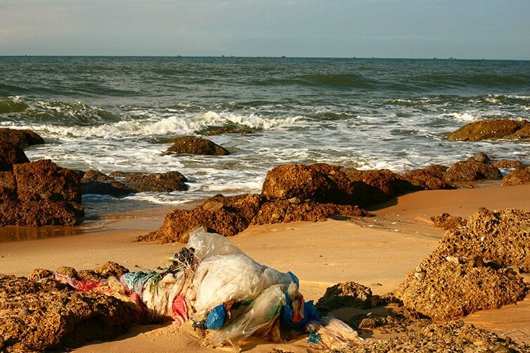 bubble-curtain-feature-892×502-01