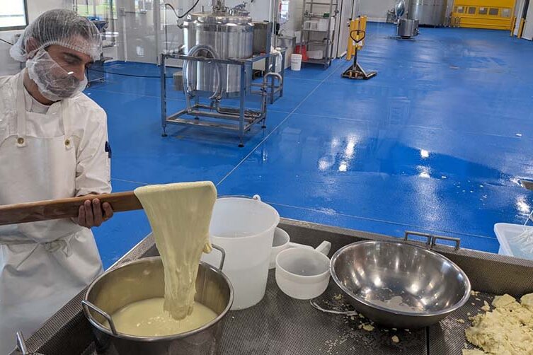 case-study-meade-feature-892×502-02