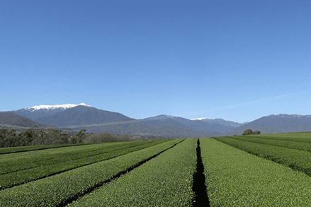 18489584_425612334462385_4740025383492766697_o