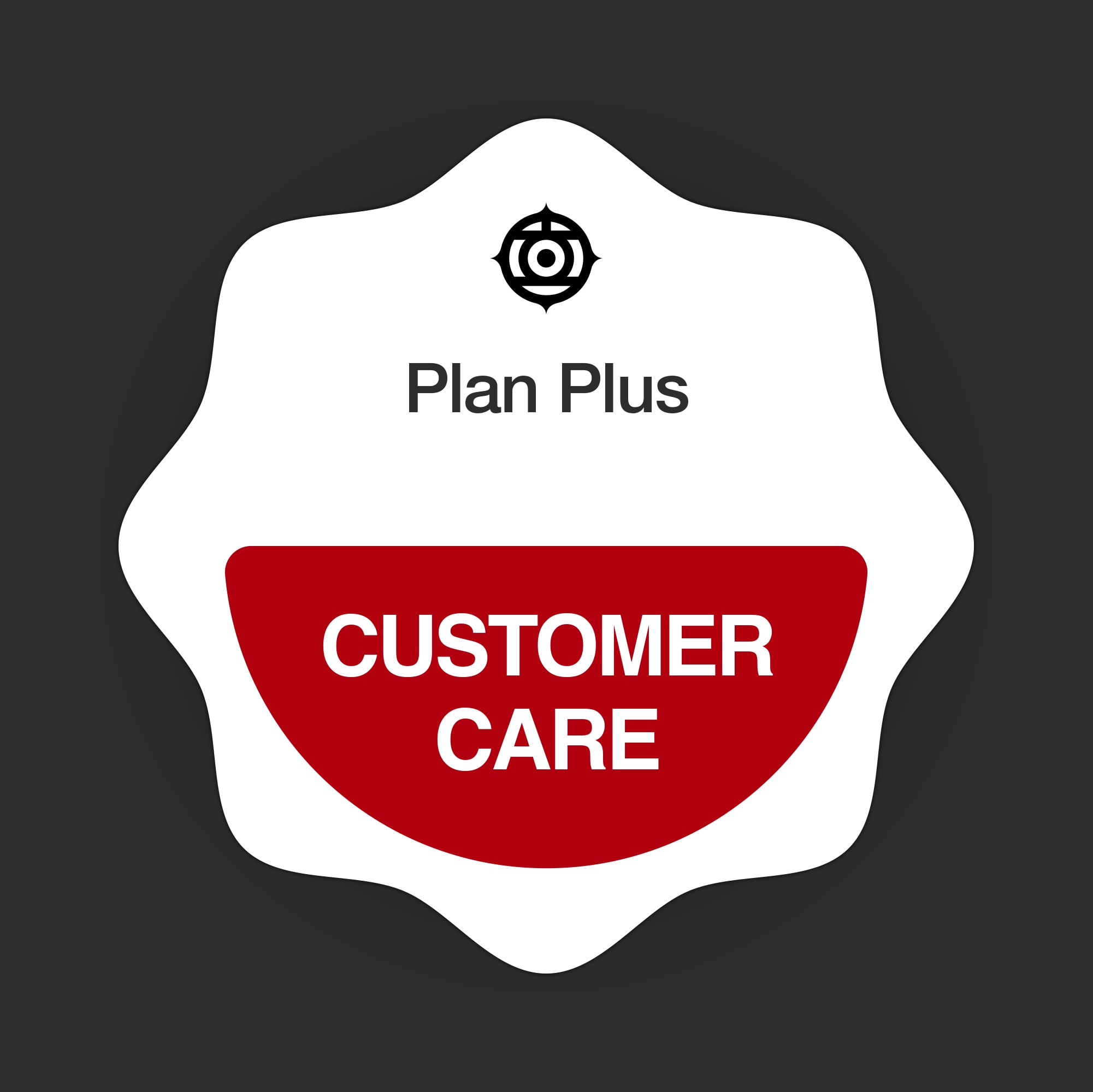 Customer Care Planning